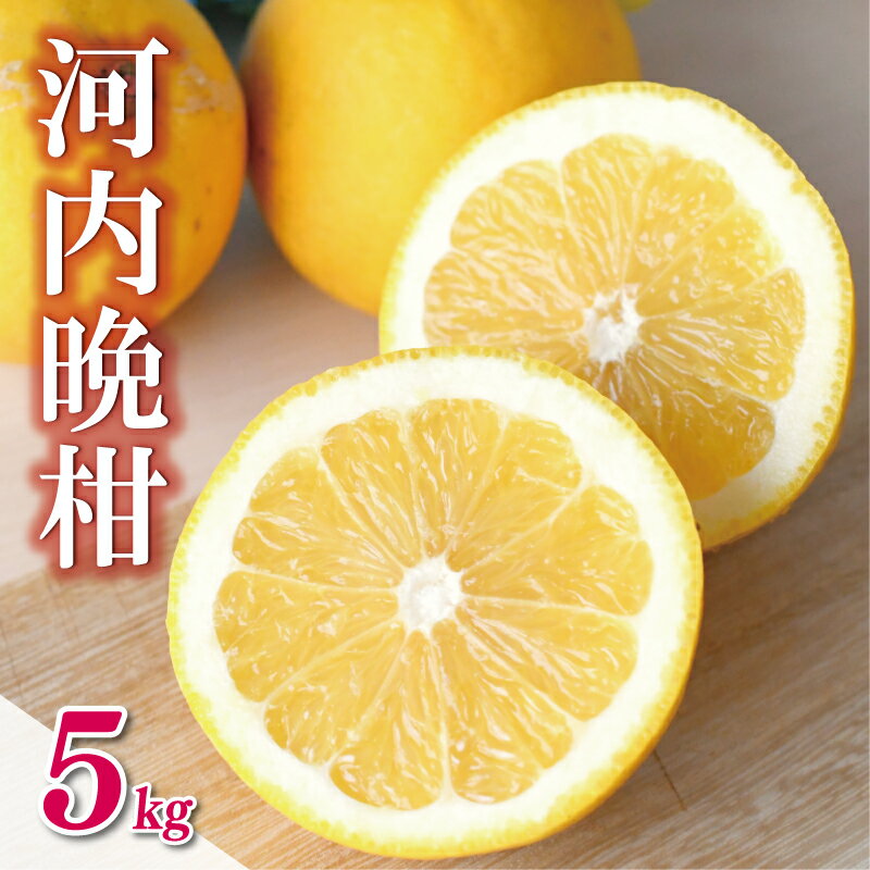 【ふるさと納税】 数量限定 先行予約 河内晩柑 5kg 7000円 みかん かわちばんかん ミカン mikan 愛南ゴールド あいなん ゴールド 文旦 派生 国産 期間限定 ギフト プレゼント 甘い おいしい フルーツ 果物 柑橘 蜜柑 アイス ゼリー ジュース 等に 岡平農園 愛南町 愛媛県