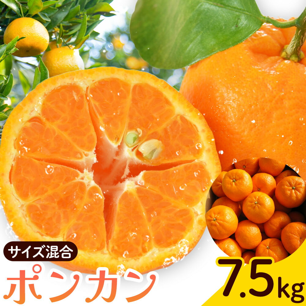 【ふるさと納税】ポンカン サイズ混合 7.5kg エイワ商店《2月上旬-2月下旬頃出荷》和歌山県 日高川町 送料無料 ぽんかん 柑橘類 フルーツ 果物 柑橘 ご家庭用