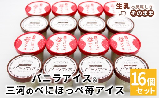 〈即日発送〉バニラアイスクリーム＆べにほっぺ苺アイス 16個セット バニラアイスクリーム　紅ほっぺ　いちご　アイスクリーム　ソフトクリーム　スイーツ　デザート アイス