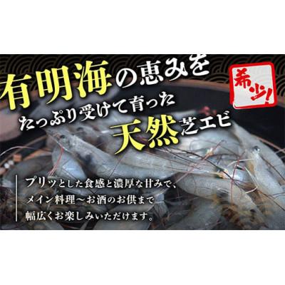 ふるさと納税 鹿島市 佐賀県産　天然芝エビむき身　1kg |  | 01