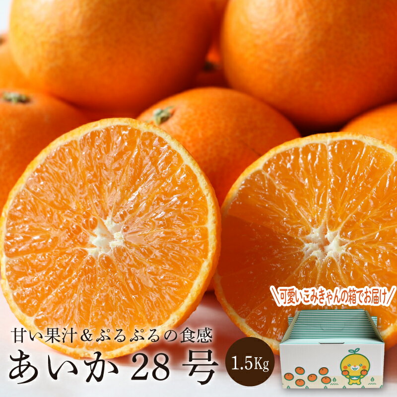 【ふるさと納税】 【先行予約】 みかん あいか28号 1.5kg（5〜8玉） 愛媛 みかん あいか 愛果28号 紅マドンナ 紅まどんな と同品種 蜜柑 柑橘 果物 贈答 愛媛のみかん くだもの フルーツ 贈答 ギフト お歳暮 愛媛県 松山市 送料無料