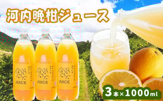 
            河内晩柑ストレートジュース 3本×1000ml 100%  河内晩柑 愛南ゴールド ジュース 柑橘 蜜柑 かんきつ 冬 秋 旬 正月 おすそ分け シェア 愛媛 愛媛県 愛南町 お歳暮 プレゼント ギフト 高級 くだもの ジュース 果物 フルーツ スイーツ ジュース おやつ お菓子 和菓子 清家ばんかんビレッジ
          