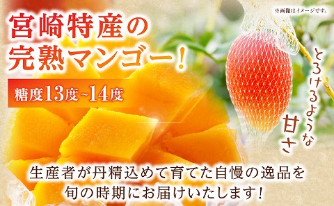 《2026年発送先行予約》【数量・期間限定】完熟マンゴー 2Lサイズ 3玉_M354-002-06