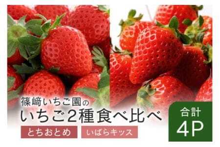 【2026年先行予約】とちおとめ2P＆いばらキッス2P 期間限定 数量限定 甘い 大きい イチゴ 春 苺 旬 フルーツ 果物 デザート ギフト 贈答用 国産 採れたて 新鮮 いちご 産地直送 茨城県 石岡市 (A32-011)