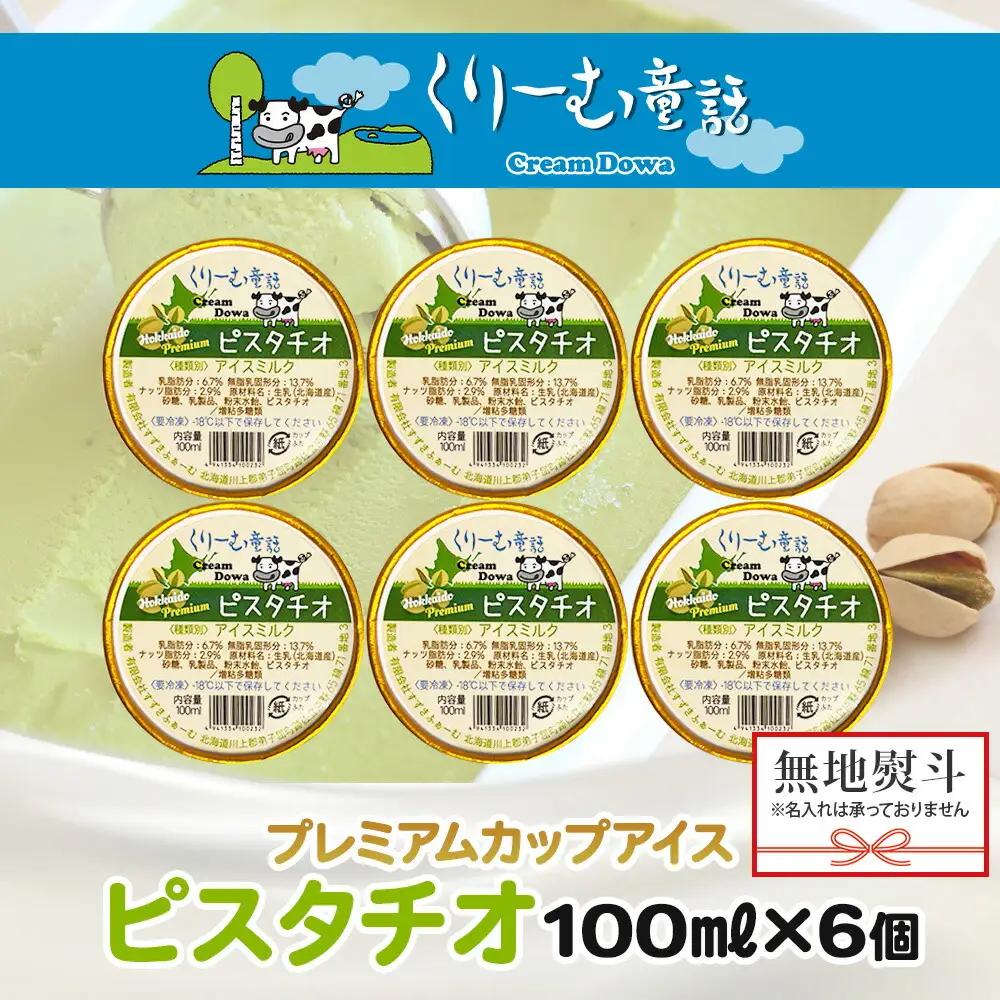 無地熨斗 くりーむ童話 カップアイス ピスタチオ 100ml×6個 アイスクリーム アイス スイーツ 牛乳 ミルク 贈り物 gift ギフト プレゼント 詰め合わせ 送料無料 北海道 弟子屈町 234