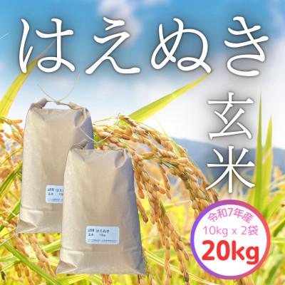 ふるさと納税 飯豊町 【令和7年産】飯豊町産　はえぬき玄米20kg