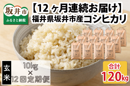 【令和6年産・新米】【12ヶ月連続お届け】福井県坂井市丸岡町産 コシヒカリ10kg×12回 計120kg（玄米） [O-11306_02]