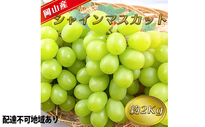 ぶどう 2026年 先行予約 シャイン マスカット 【9月上旬～順次発送分】約2kg 糖度抜群！ ブドウ 葡萄 岡山県産 国産 フルーツ 果物 ギフト 果物類 