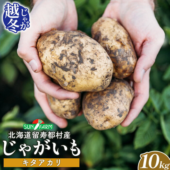 【ふるさと納税】越冬じゃがいも キタアカリ 10kg いも おいも 芋 イモ ジャガイモ ポテト きたあかり オンライン 申請 ふるさと納税 北海道 留寿都 野菜 根菜 ホクホク 産地直送 新鮮 採れたて ポテトサラダ コロッケ スープ 10キロ 留寿都村【24021】