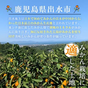 i571 ＜2024年11月下旬～2025年1月下旬の間に発送予定＞【特別栽培・最高金賞】温州みかん日本一！濃甘あめ玉みかん(計約12kg・6kg×2箱＋傷み保障 約200g(3～4玉) みかん 蜜柑