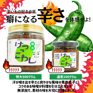 激辛国産青唐辛子味噌「けつっこわし」 【500ｇ×2本】辛くておいしい無添加合わせ味噌 【tab0223-502】
