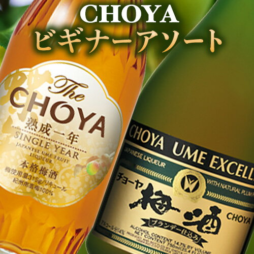 【ふるさと納税】【9月30日受付終了】CHOYA ビギナーアソート TheCHOYA　熟成一年 700ml エクセレント 750ml 計2本 セット 飲み比べ 羽曳野商工振興株式会社《30日以内に出荷予定(土日祝除く)》大阪府 羽曳野市 送料無料 梅酒 梅 酒 CHOYA チョーヤ チョーヤ梅酒 お酒 紀州