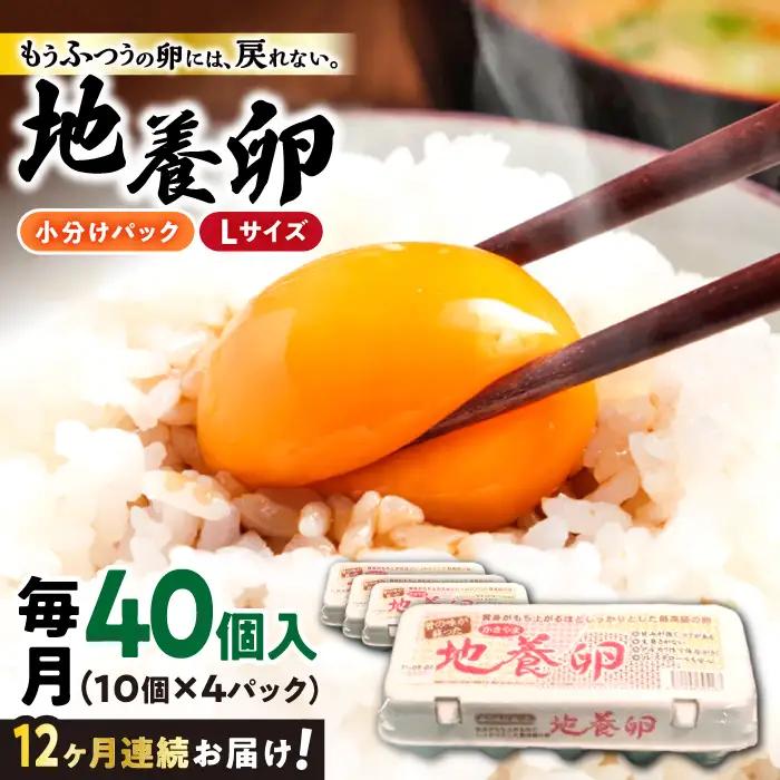 12回定期便 卵 Lサイズ 40個 | CBB004 卵