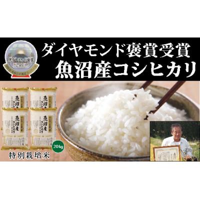 ふるさと納税 津南町 【令和7年産】最高級魚沼産こしひかり【ダイヤモンド褒賞受賞　特別栽培米】20kg(5kg×4)