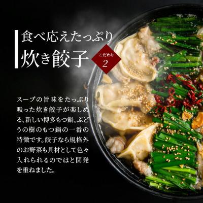 ふるさと納税 上毛町 ぶどうの樹のもつ鍋炊き餃子【3〜4人前】九州産和牛マル腸 |  | 02