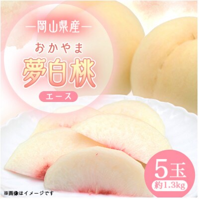2026年先行予約　岡山県産おかやま夢白桃5玉【エース】【配送不可地域：離島】