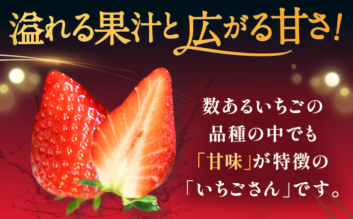 【ジューシーな濃厚いちご】いちごさん 2kg（250g×8パック） / 苺 イチゴ いちご フルーツ 果物 / 佐賀県 / さかもとさんの畑 [41ABAA004]