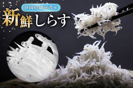 駿河湾産 しらす干し100g×1 釜上げしらす120g×2
