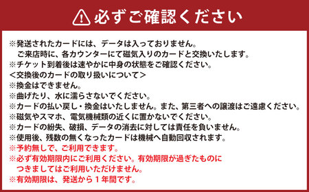 サーキット 5レースカード×3枚セット 大和レジャー スポーツプラザ ビッグバン 室内サーキット スリックカート ドリフト走行 チケット 利用券 室内 スポーツ アミューズメント 神奈川県 大和市 送