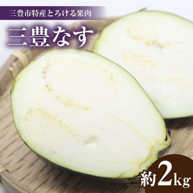 【ふるさと納税】 なす 先行予約 三豊市特産 とろける果肉 三豊なす 約2kg [ 三豊なす 三豊市特産 先行予約 香川県産 なす 皮がやわらかい 果肉が緻密 とろける食感 みずみずしい 肉詰め 煮物 焼きナス ふるさと納税 返礼品 10000 10,000円 台 五色青果 ]