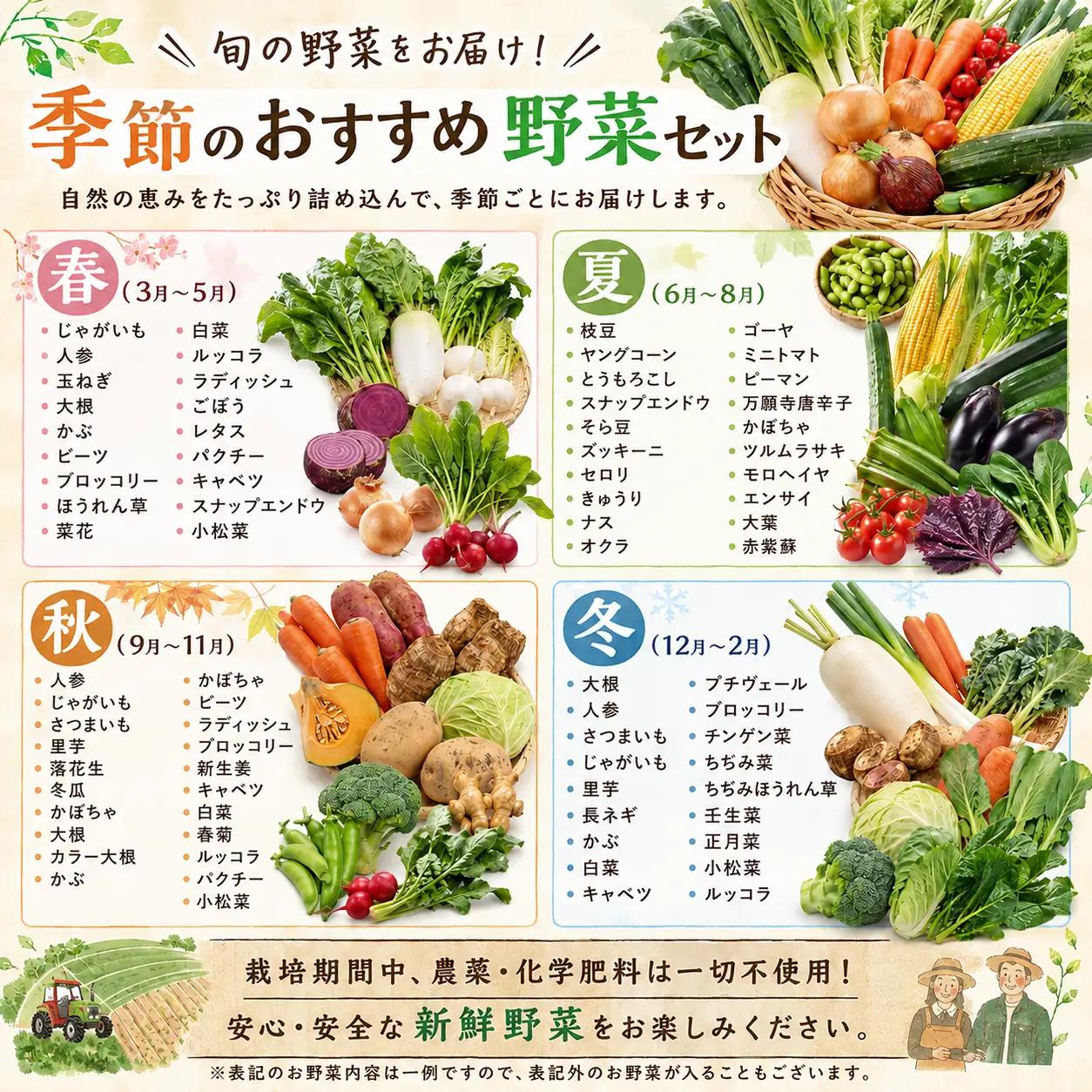 【千葉県香取市】旬の「季節の野菜セット」【詰め合わせ】【WGS002】