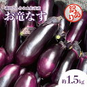 【ふるさと納税】森田さんちの土佐市産お竜なす 訳あり 約1.5kg 1.5キロ 16~21本 1本約80g 茄子 ナス なすび 野菜 新鮮 焼き茄子 煮浸し 漬物 浅漬け ぬか漬け 味噌汁 おかず お取り寄せ 訳アリ ご自宅用 常温 配送 高知県 高知 土佐市 ふるさとのうぜい 故郷納税 返礼品