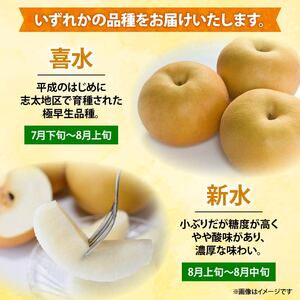 【 オンライン決済限定 】 梨 藤里梨 3kg ( 6玉 ~ 9玉 )  | 梨梨梨梨