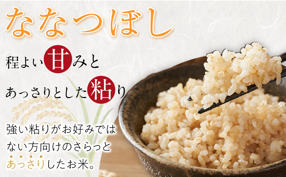 【定期便】特別栽培米ななつぼし玄米5kg 令和8年産 3ヶ月毎月発送（10月から発送開始予定）【お米 米 新米 ななつぼし 特別栽培米 令和8年産 玄米 白米 旭川市ふるさと納税 北海道ふるさと納税 