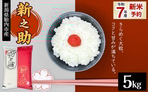 16-S51新潟県胎内市産ちょっと贅沢な新之助5kg