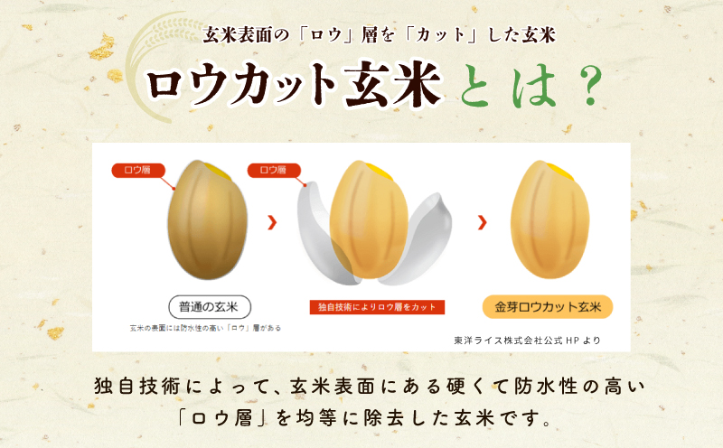 金芽ロウカット玄米 4kg【東洋ライス 2kg×2P お米 米 こめ 国産 小分け】 099H202