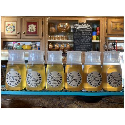 ふるさと納税 南知多町 国産蜂蜜6本セット(ボトル)