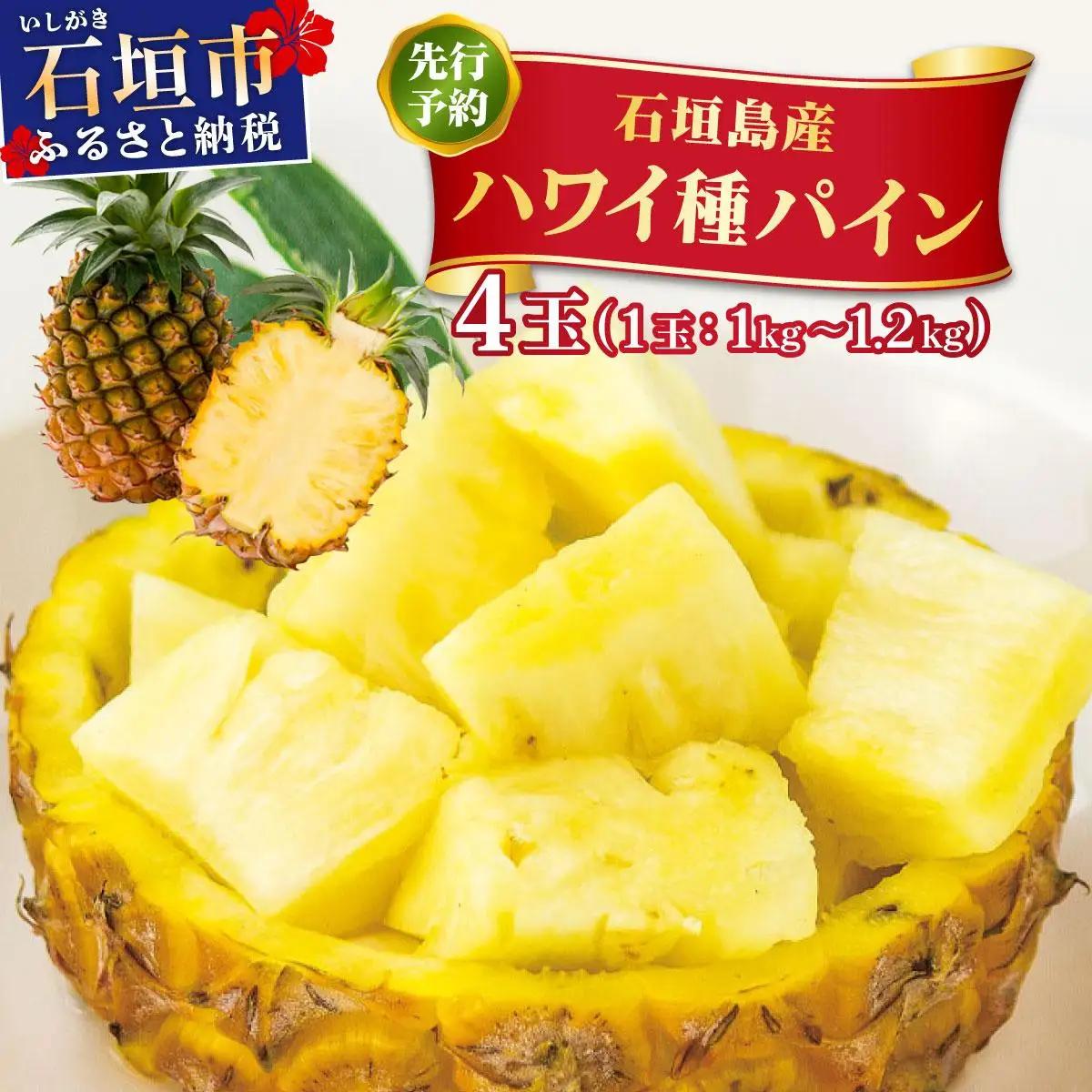 ＜先行予約＞ ハワイ種 パイナップル 4玉 ＜2026年6月発送＞ | 沖縄県 石垣市 石垣島産 パイン パイナップル ハワイ種パイナップル ZH-16