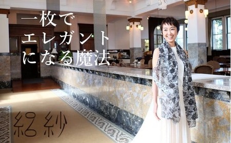 シルクストール 絽紗 プリントストール ( シルバー ) レディース