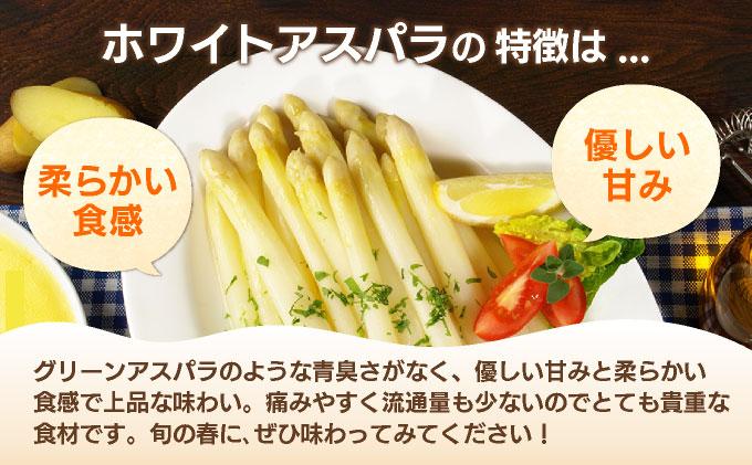 数量限定 ホワイトアスパラガス 2L 1kg 朝採り 朝採れ 直送 グリーンアスパラガス アスパラ 【2月～4月お届け】 BT02w ホワイト【2月〜4月お届け】