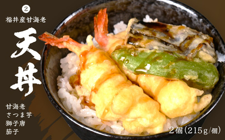 ソースカツ丼 天丼 かき揚げ丼 各2個 (計6個セット) レンジで簡単調理！ミニ丼3種セット！ [A-8405]