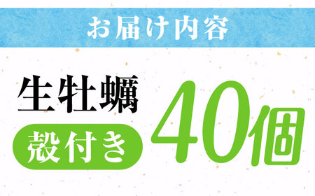 高品質の牡蠣を産地直送！ 【生牡蠣】【着日指定可能】『てつまるかき』牡蠣 殻付き 40個 加熱用 かき 海鮮 海産物 簡単 広島県産 江田島市/有限会社テツマル海産[XCO008]