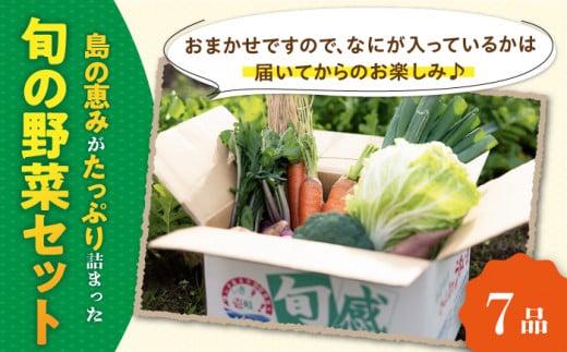 【全3回定期便】旬の野菜 7品《壱岐市》【壱岐市農業協同組合】 [JBO044] 野菜 やさい 旬 季節 セット 詰め合わせ 産地直送 新鮮 サラダ スムージー 定期便   30000 30000円 