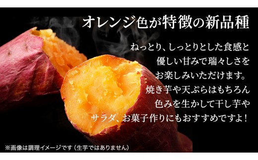 さつまいも 【 シルクスイート ・ ほしあかね 】 5kg ( 箱込 )の 2箱セット さつまいも 詰合せ 国産 農園 野菜 サツマイモ 芋 期間限定 デザート スイーツ おやつ 料理 味噌汁 煮物 