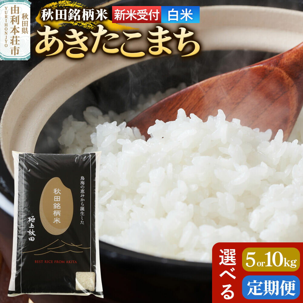 【ふるさと納税】《令和8年産 新米受付》【白米】極上秋田銘柄米 あきたこまち【選べる容量 5kg／10kg＋お届け回数 1回〜】定期便 小分け袋 [新米受付 米 お米 こめ 白米 精米 あきたこまち ブランド米 銘柄米 秋田県産]