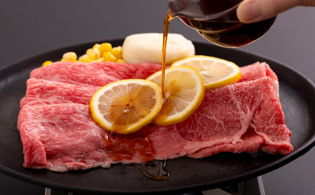 長崎和牛とあご出汁レモンステーキソースのセット(L)