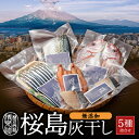 【ふるさと納税】 桜島 灰干し 5種 詰合せ 送料無料 海産物 海の幸 魚介 魚 さかな 干物 ひもの 手作り 手づくり 無添加 鯖 さば サバ 鯛 たい きびなご キビナゴ かんぱち たかえび 加工品 人気 鹿児島市 特産品 国産 ギフト 贈り物 お歳暮 Z