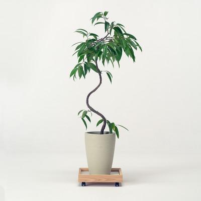 ふるさと納税 旭川市 旭川家具 cosineのプラントムーバー(スクエア)_01870 |  | 01