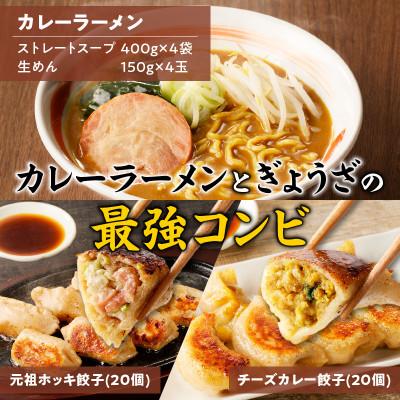 ふるさと納税 苫小牧市 カレーラーメンと餃子 Eセット |  | 01