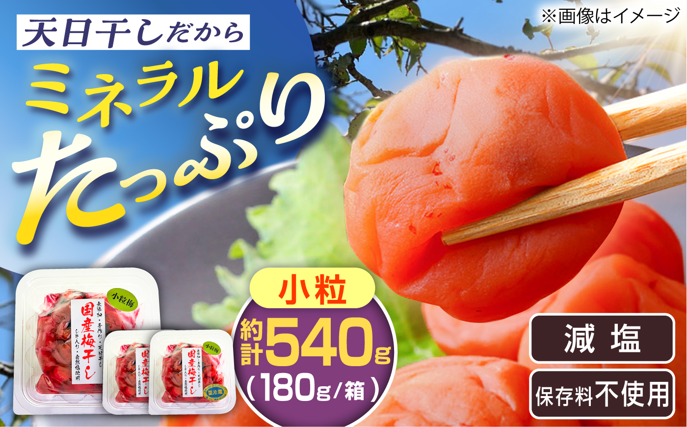国産 小粒梅干し 計540g 180g×3袋 (天日干し・減塩・保存料不使用) / 国産 梅干し 小粒 / 恵那市 / マルコ醸造 [AUCT027]