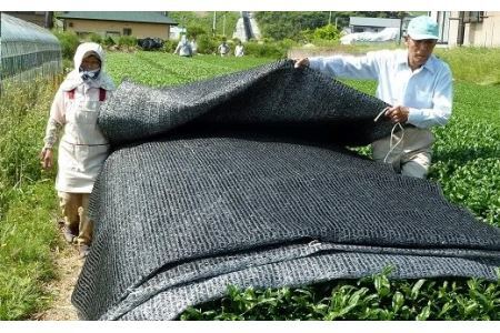 希少品！ 掛川 抹茶 の詰め合わせセット（20ｇ×2缶・100g×3袋）佐々木製茶（ 抹茶 掛川茶 静岡 掛川市 小分け 深蒸し掛川茶  希少 人気 佐々木製茶 )   １８９２