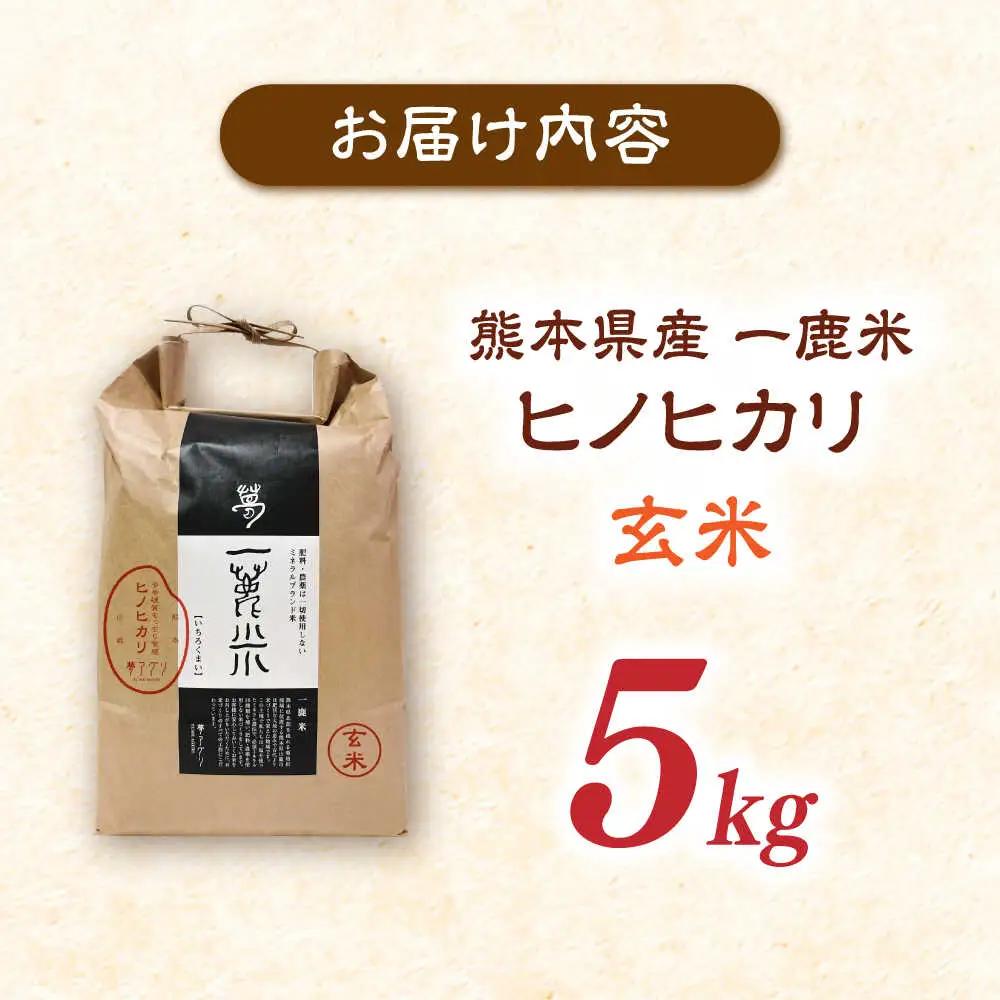 【天日塩を使用】一鹿米 ヒノヒカリ 米 玄米5kg 【株式会社 夢アグリ】[ZCL029]