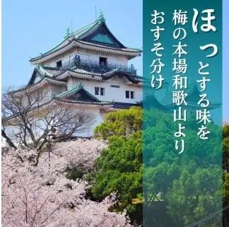 黄梅 家庭用 南高梅 5kg+250g（傷み補償分） / 梅 梅ジュース 梅酒 梅干し 訳あり 和歌山 ※2026年6月下旬～7月下旬に順次発送 ※北海道・沖縄・離島への配送不可 【ikd510-cc