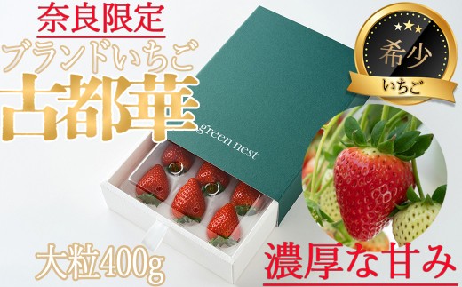 ※予約受付（R9年発送）BB-21.【奈良県ブランドいちご】奈良県産「古都華（ことか）」大粒ギフト400ｇ／２月発送