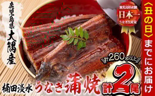 【丑の日までに配送】楠田の極うなぎ蒲焼き130g以上×2尾(計260g以上) 山椒付たれ 鰻 ウナギ 蒲焼 うな重 ひつまぶし 鹿児島 冷凍 おかず お祝い a4-093-us