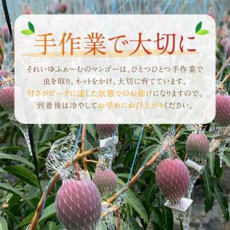 それいゆマンゴー 2kg　A006-015